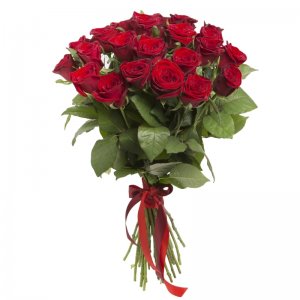 פלורנס ROSES